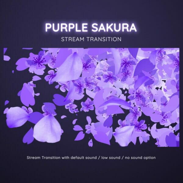 Purple Sakura Cherry Blossom Stream Transition 4