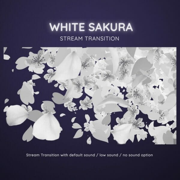 White Sakura Cherry Blossom Stream Transition 4