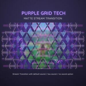 Purple Grid Tech Stream Transition Stinger 3
