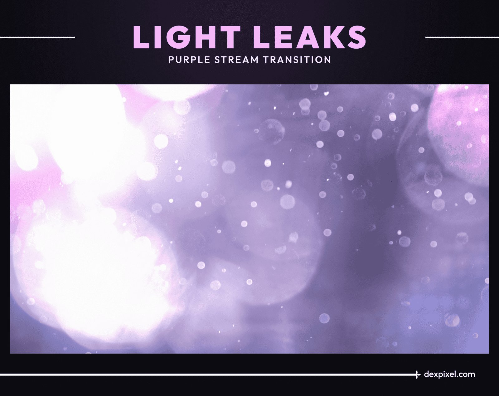 Light Leak Purple
