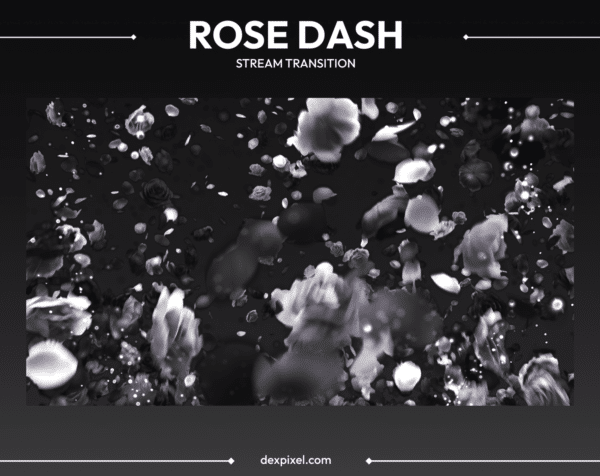 Rose Dash Stream Transition Black and White 7