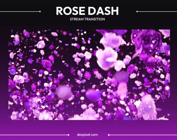 Scene Transition DexPixel 8 Rose Dash Purple