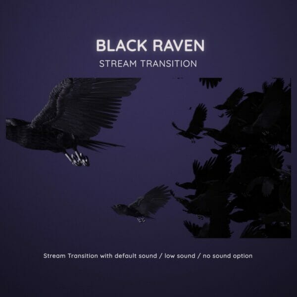 Black Raven Stream Transition OBS Streamlabs 2