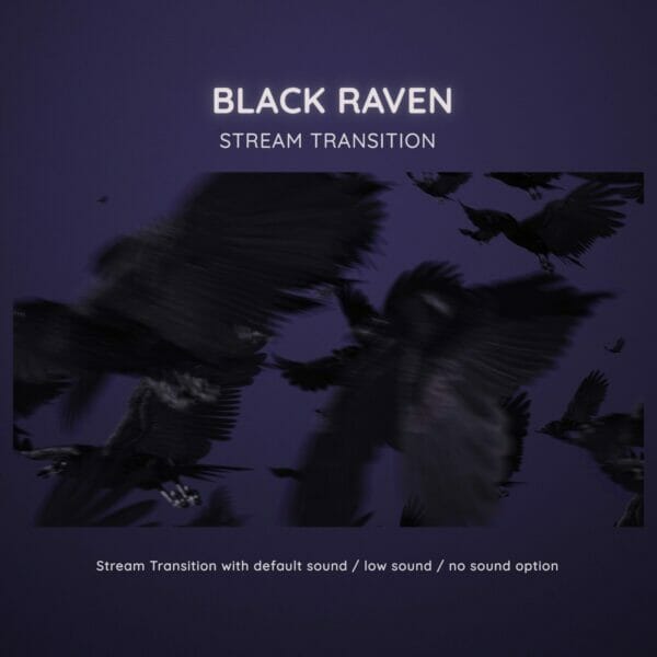 Black Raven Stream Transition OBS Streamlabs 4